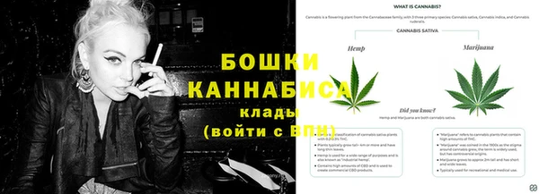 мдпв Липки