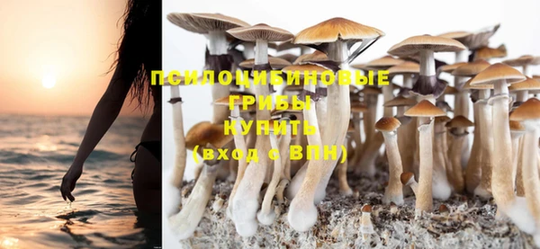 мдпв Липки