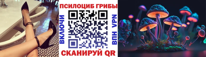 Псилоцибиновые грибы мицелий  Купить закладки  Алексин 